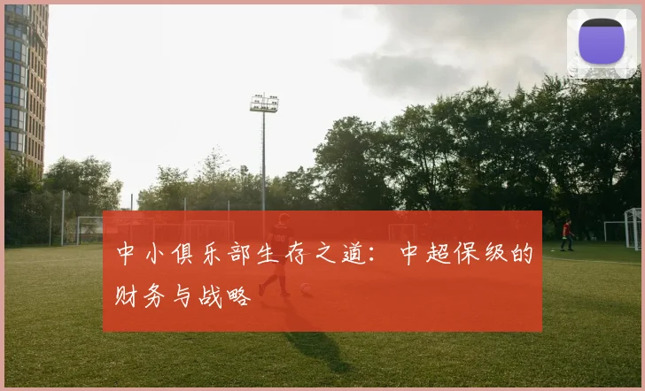 中小俱乐部生存之道：中超保级的财务与战略