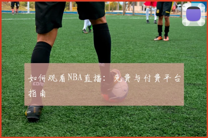 如何观看NBA直播:免费与付费平台指南